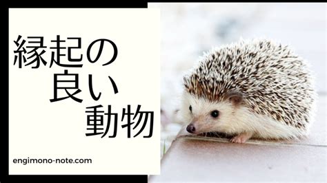 幸運物|縁起の良い動物一覧 – 幸運を引き寄せる動物たち 